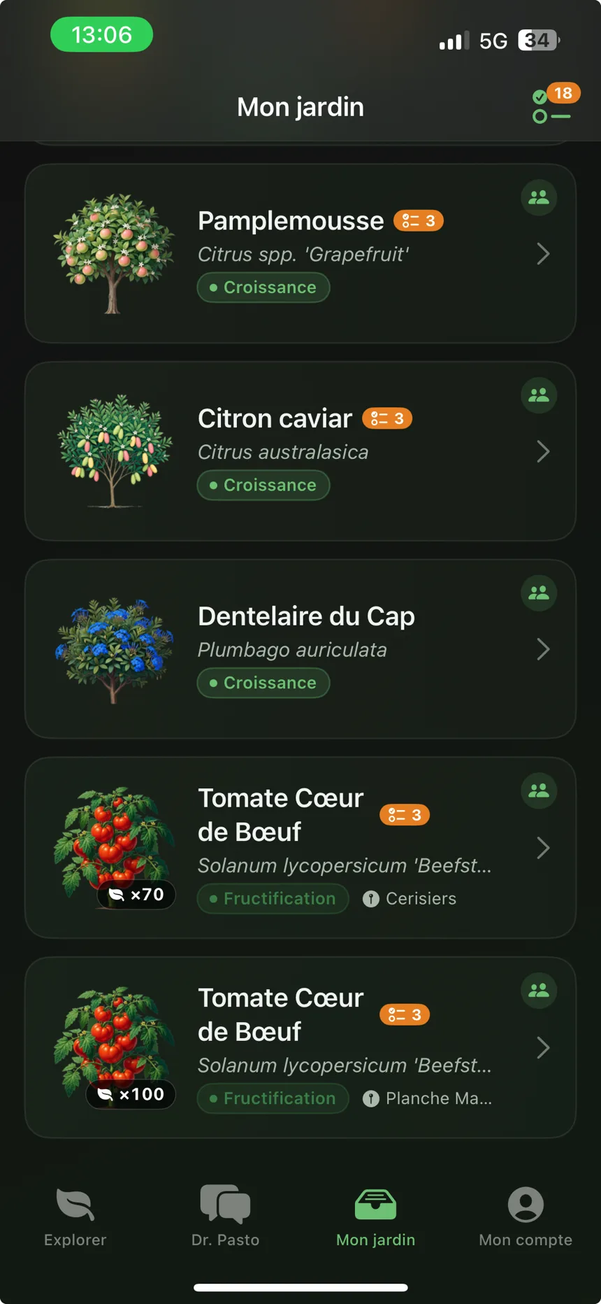 Le jardin dans l’app Pasto : chaque plante et son stade