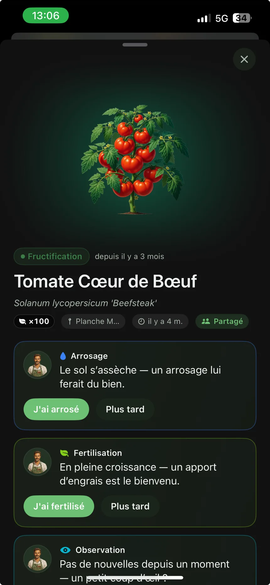 Fiche d’une tomate dans Pasto, avec les conseils d’arrosage et d’engrais